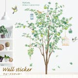 ウォールステッカー Tree&bird 植物 | くれあぽけっと | 詳細画像1