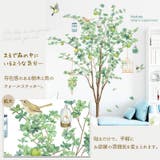 ウォールステッカー Tree&bird 植物 | くれあぽけっと | 詳細画像2