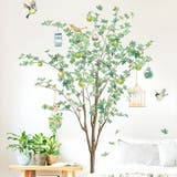 ウォールステッカー Tree&bird 植物 | くれあぽけっと | 詳細画像4