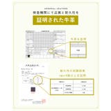 財布 二つ折り財布 ミニ財布 | STYLE ON BAG | 詳細画像13 