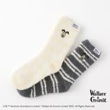 【ウォレスとグルミット】刺繍付き細ボーダールームソックス | SUKENO【WOMEN】 | 詳細画像7 