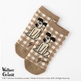 【ウォレスとグルミット】スニーカー丈ソックス | SUKENO【WOMEN】 | 詳細画像4 