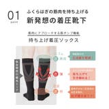 【Liite】着圧ハイソックス / 産前産後 | SUKENO【WOMEN】 | 詳細画像3