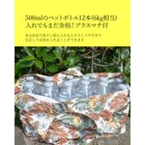 抗菌エコバック 折りたたみ コンパクト | SUNY PLACE  | 詳細画像6 