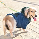 別注 フェイクファー フーディ ドッグウェア / 犬 服 | SVEC | 詳細画像12 