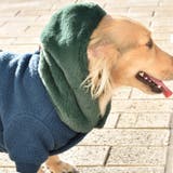 別注 フェイクファー フーディ ドッグウェア / 犬 服 | SVEC | 詳細画像13 