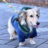 別注 フェイクファー フーディ ドッグウェア / 犬 服 | SVEC | 詳細画像14 