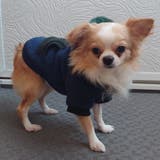 別注 フェイクファー フーディ ドッグウェア / 犬 服 | SVEC | 詳細画像23 