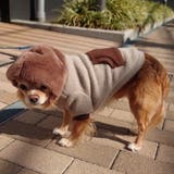 別注 フェイクファー フーディ ドッグウェア / 犬 服 | SVEC | 詳細画像25 