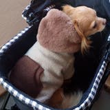 別注 フェイクファー フーディ ドッグウェア / 犬 服 | SVEC | 詳細画像26 