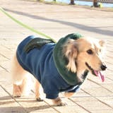 別注 フェイクファー フーディ ドッグウェア / 犬 服 | SVEC | 詳細画像8 