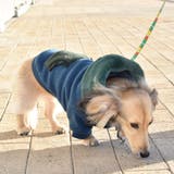 別注 フェイクファー フーディ ドッグウェア / 犬 服 | SVEC | 詳細画像9 