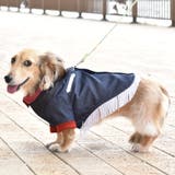 別注 ウエスタンシャツ ドッグウェア / 犬 服 | SVEC | 詳細画像11 