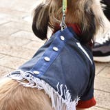 別注 ウエスタンシャツ ドッグウェア / 犬 服 | SVEC | 詳細画像14 