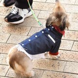 別注 ウエスタンシャツ ドッグウェア / 犬 服 | SVEC | 詳細画像17 