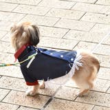 別注 ウエスタンシャツ ドッグウェア / 犬 服 | SVEC | 詳細画像18 