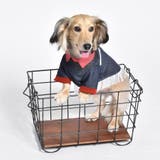 別注 ウエスタンシャツ ドッグウェア / 犬 服 | SVEC | 詳細画像19 