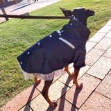 別注 ウエスタンシャツ ドッグウェア / 犬 服 | SVEC | 詳細画像21 