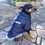 別注 ウエスタンシャツ ドッグウェア / 犬 服 | SVEC | 詳細画像25 