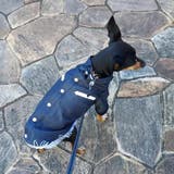 ネイビー | 別注 ウエスタンシャツ ドッグウェア / 犬 服 | SVEC