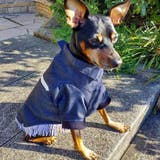 別注 ウエスタンシャツ ドッグウェア / 犬 服 | SVEC | 詳細画像26 