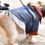 別注 ウエスタンシャツ ドッグウェア / 犬 服 | SVEC | 詳細画像9 