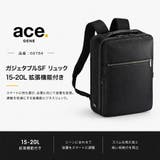ace GENE ガジェタブルSF | Tasche Jack | 詳細画像2