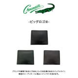 Crocodile ビッグロゴlll 純札入れ | Tasche Jack | 詳細画像2 