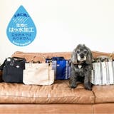 【ROOTOTE】 1129 SN | Tasche Jack | 詳細画像6
