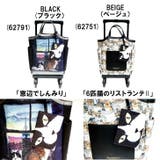 SWANY スワニー マンハッタナーズコラボ | Tasche Jack | 詳細画像10