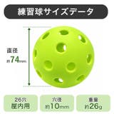 ピックルボール 屋内用 ボール | Tearly | 詳細画像13
