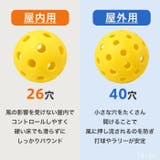 ピックルボール 屋内用 ボール | Tearly | 詳細画像12