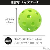 ピックルボール 屋内用 ボール | Tearly | 詳細画像11