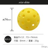 ピックルボール ボール 40穴 | Tearly | 詳細画像11 