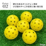 ピックルボール 屋外用 ピックル | Tearly | 詳細画像3 