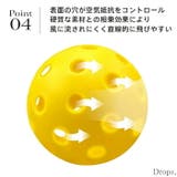 ピックルボール 屋外用 ピックル | Tearly | 詳細画像5 