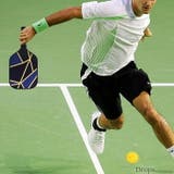 ピックルボールパドル ピックルボール パドル | Tearly | 詳細画像18 