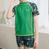 グリーン | キッズ 水着 男の子 | Kids Teddy