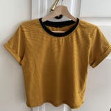 イエロー | Tシャツ ボーダー ショート丈 | teddyshop