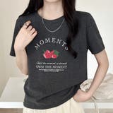 チャコール | ロゴTシャツ レディース 全4色 | teddyshop