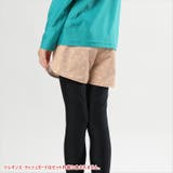 水着 サーフパンツ キッズ | Kids Teddy | 詳細画像21