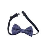 キッズ スーツ 半袖 | Kids Teddy | 詳細画像13 