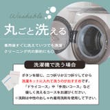 キッズ スーツ 半袖 | Kids Teddy | 詳細画像6 