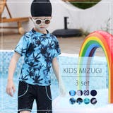 キッズ 水着 男の子 | Kids Teddy | 詳細画像31 
