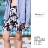 水着 パンツ キッズ | Kids Teddy | 詳細画像9