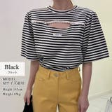 トップス Tシャツ ボーダー | teddyshop | 詳細画像3 