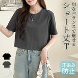 Tシャツ 汗染み防止 全3色 | teddyshop | 詳細画像1