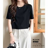 Tシャツ 汗染み防止 全3色 | teddyshop | 詳細画像8