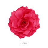 ヘアゴム ヘアポニー レディースヘアアクセサリー | terracotta | 詳細画像21 