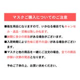 マスク 洗える 冷感 | terracotta | 詳細画像10